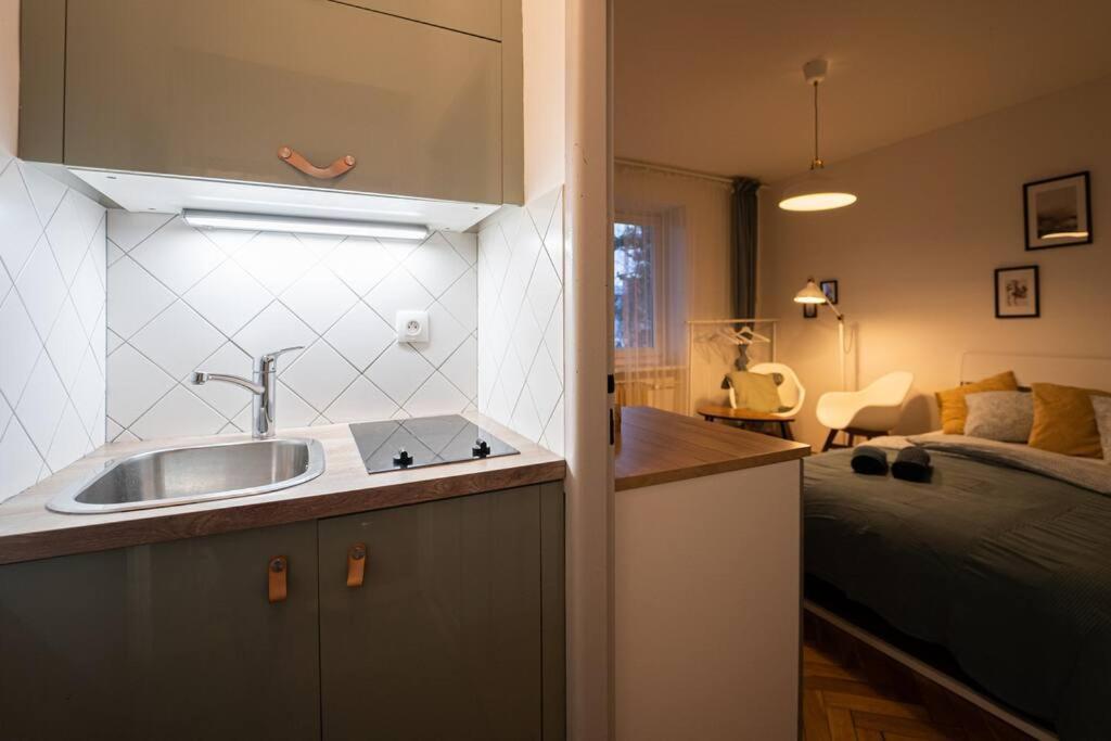 Mini Studio In Masaryk Quarter - Brno Leilighet Eksteriør bilde